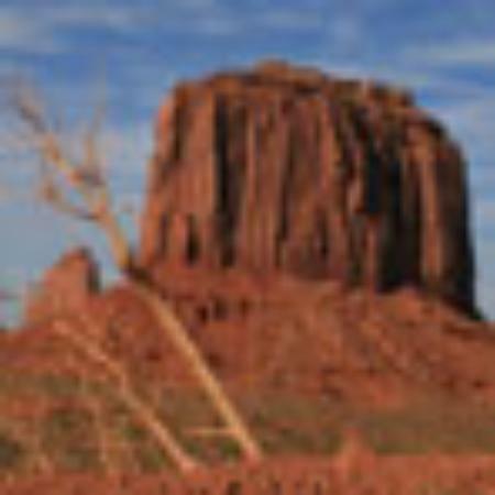 Bar e Churrascaria Pantanal